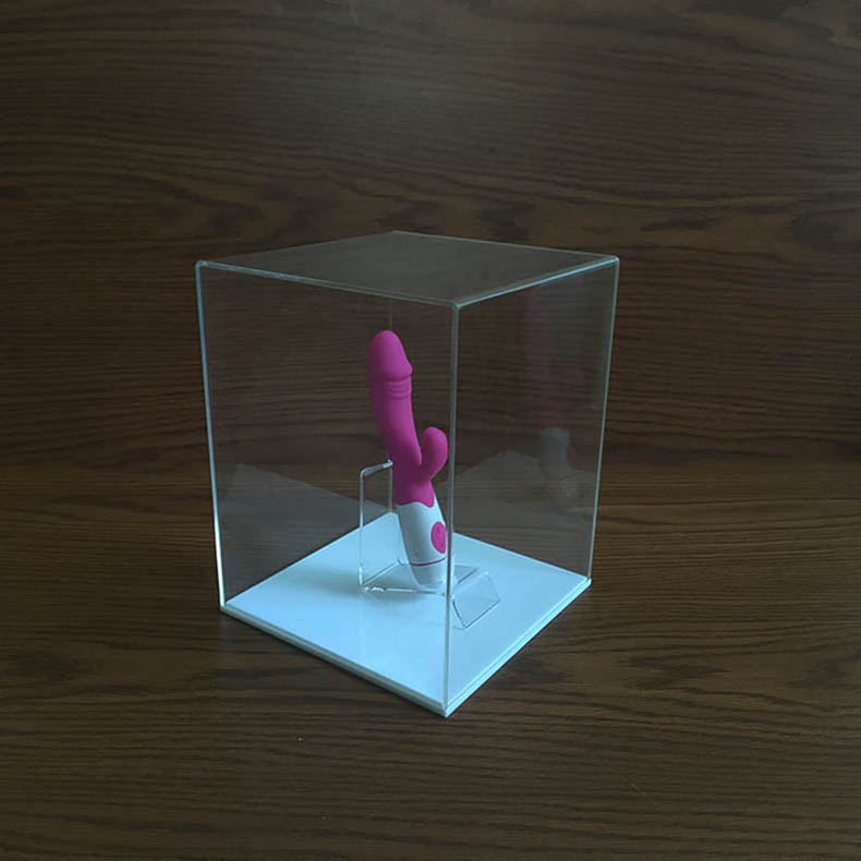 Women's Masturbation Display Box