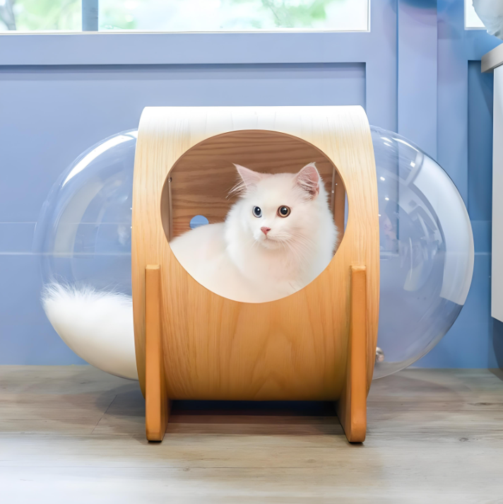 Personalized acrylic cat bed toys
