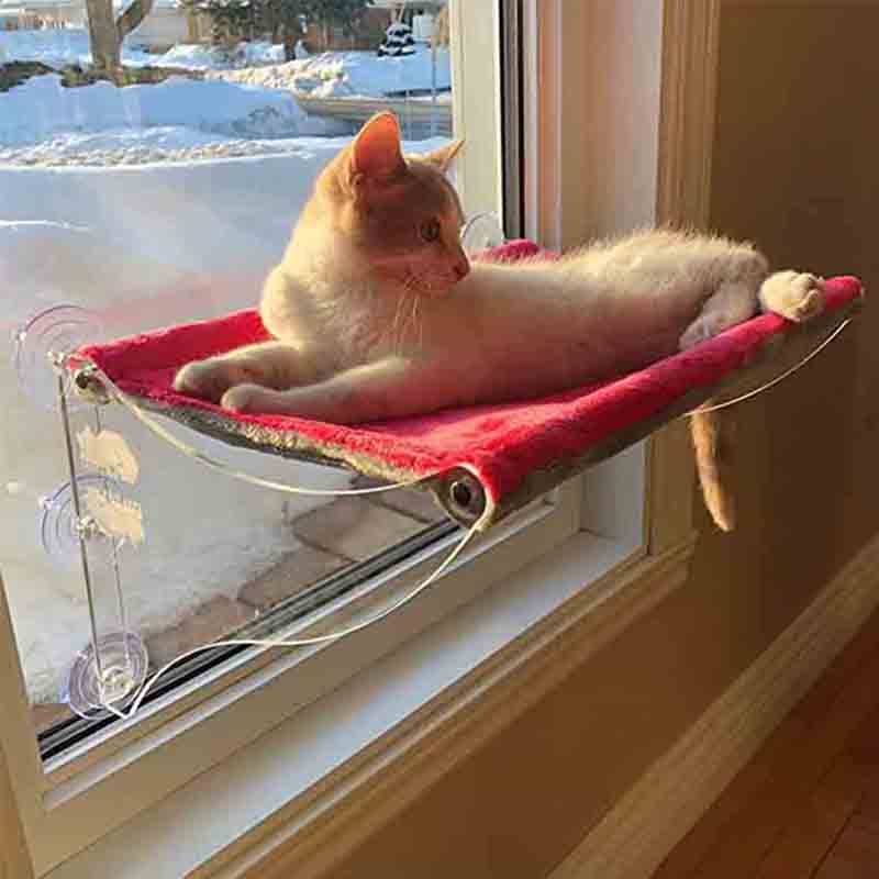 Customized wall-mounted acrylic cat bed