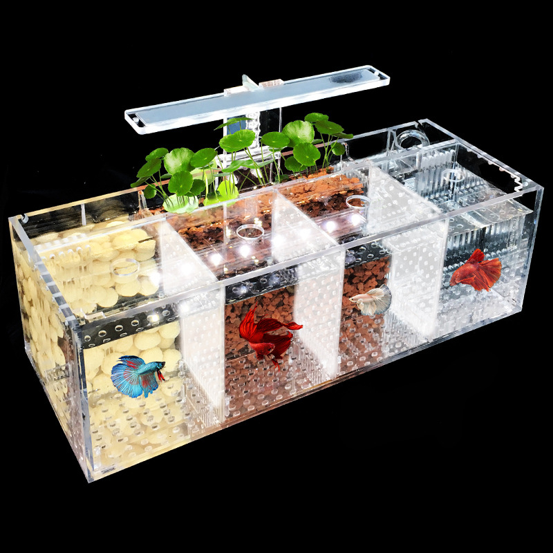 Multi-grid acrylic small fish tank with light