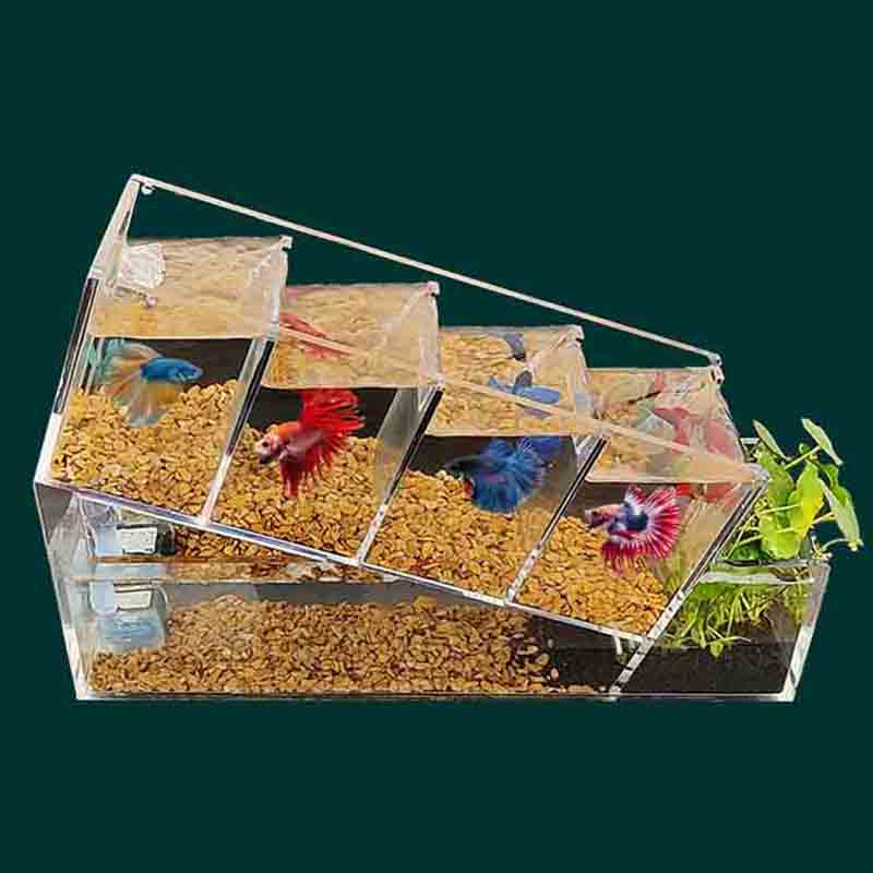 Customized acrylic small fish tanks for ornamental fish